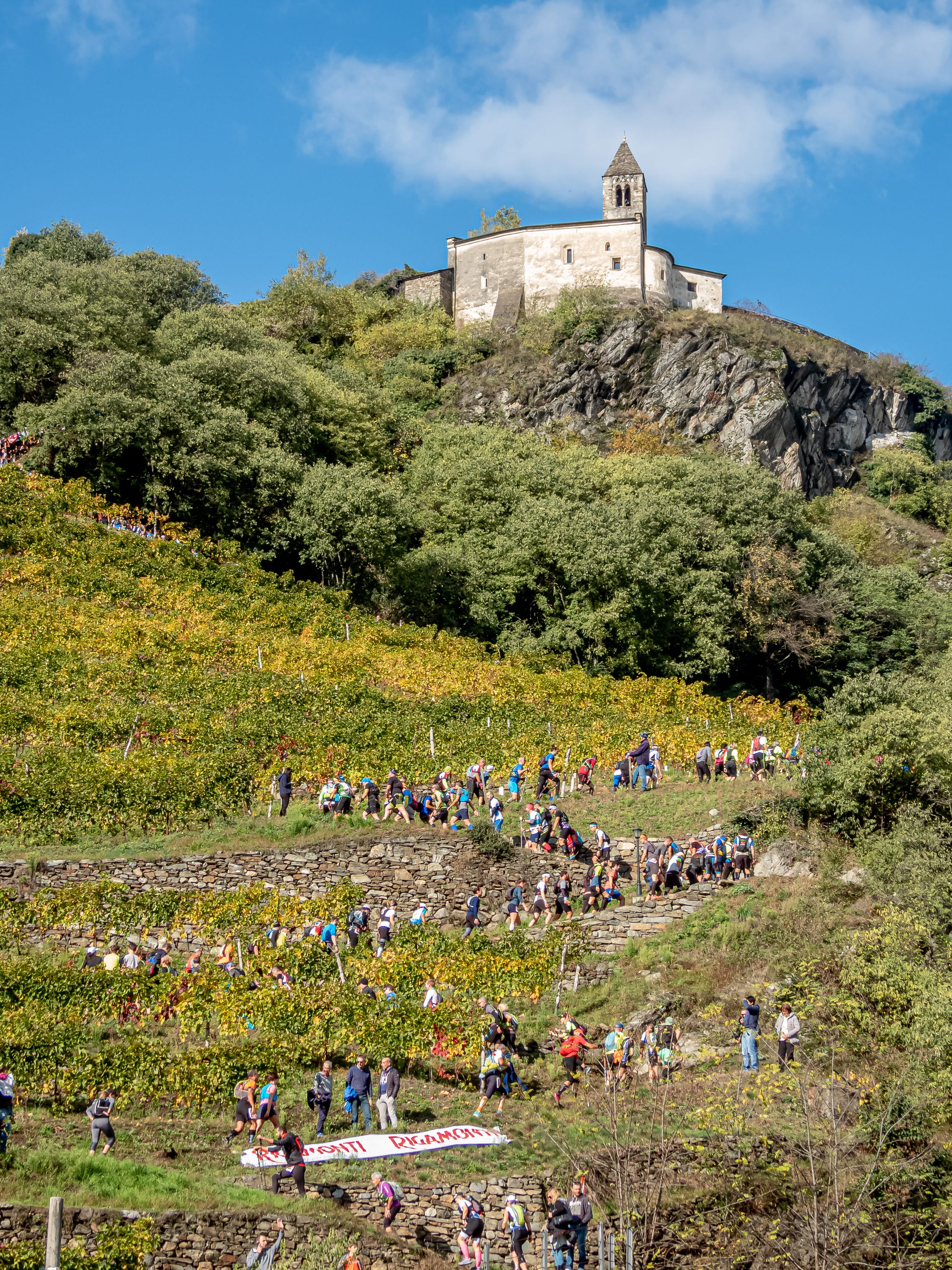 Valtellina Wine Trail